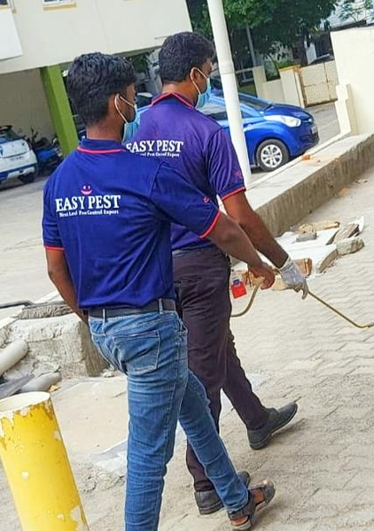 Cover photo of Easy Pest Control
